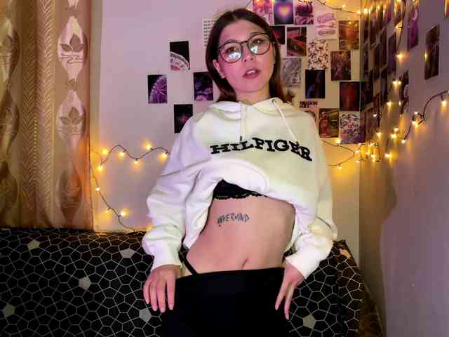 EchoFawn webcam