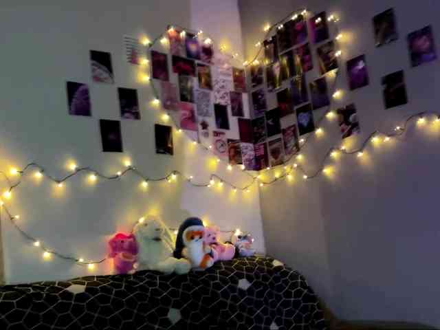 EchoFawn webcam