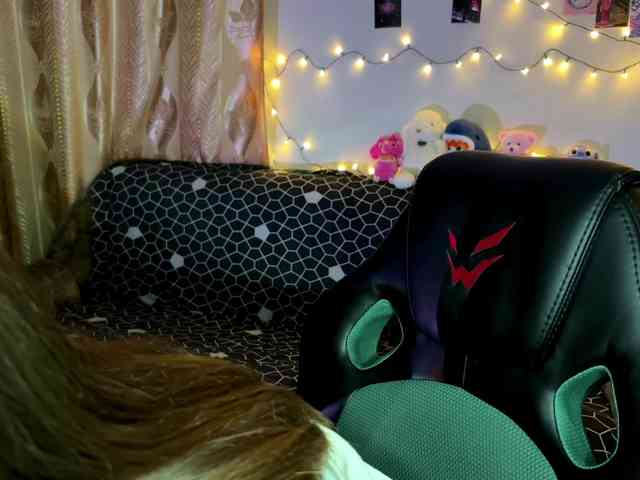 EchoFawn webcam