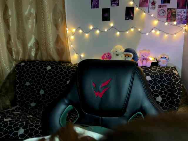 EchoFawn webcam