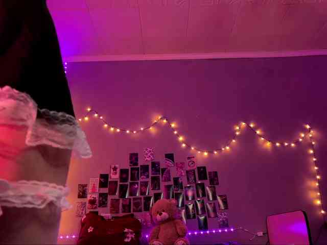 EchoFawn webcam