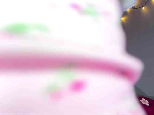 EchoFawn webcam