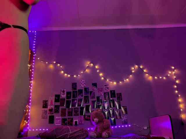 EchoFawn webcam