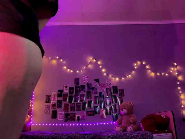 EchoFawn webcam
