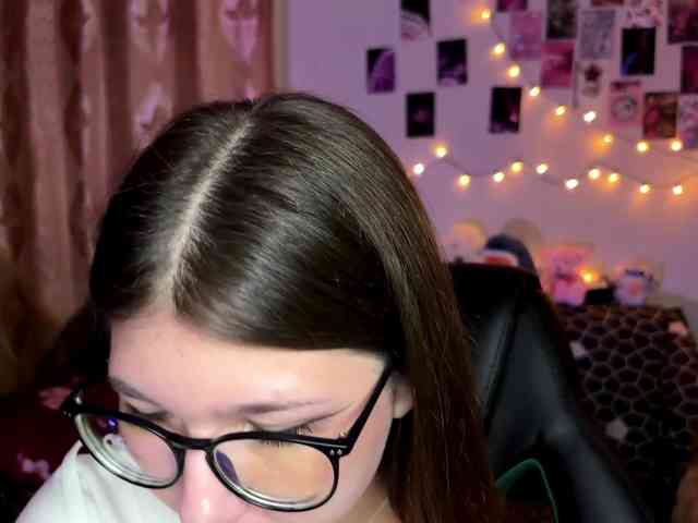 EchoFawn webcam