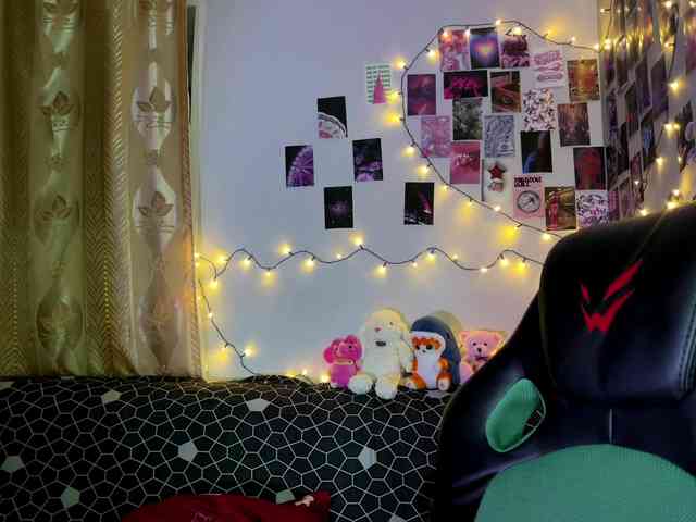 EchoFawn webcam