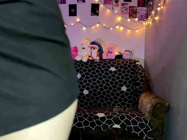 EchoFawn webcam