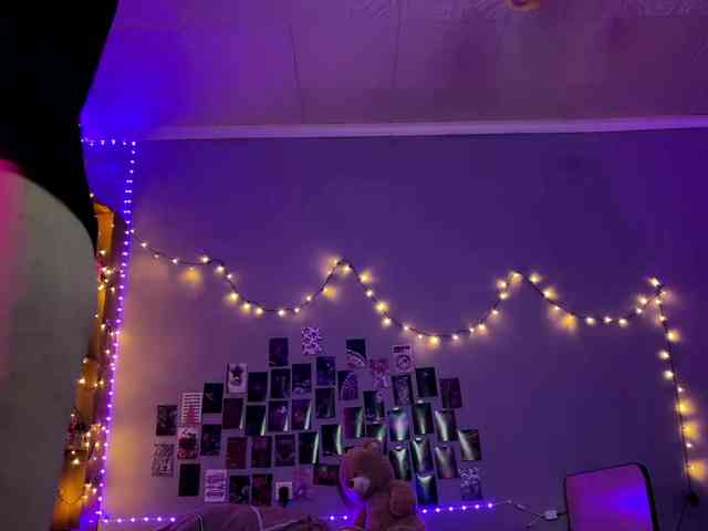 EchoFawn webcam