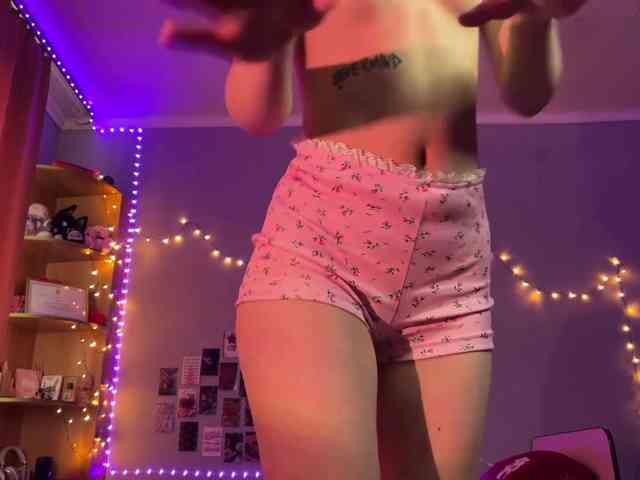 EchoFawn webcam