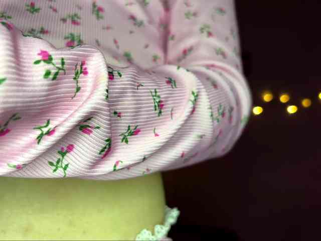 EchoFawn webcam