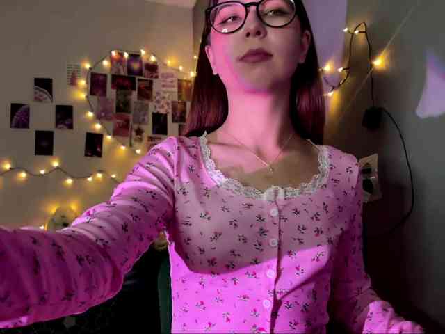 EchoFawn webcam