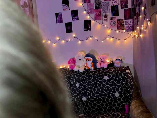 EchoFawn webcam