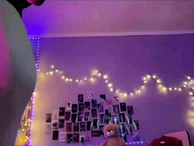 EchoFawn webcam