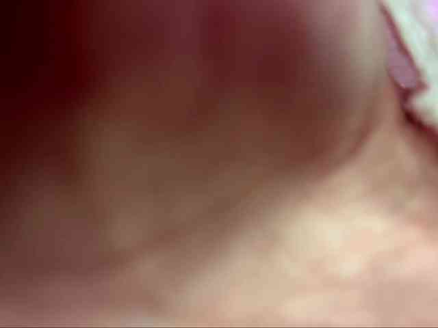 EchoFawn webcam