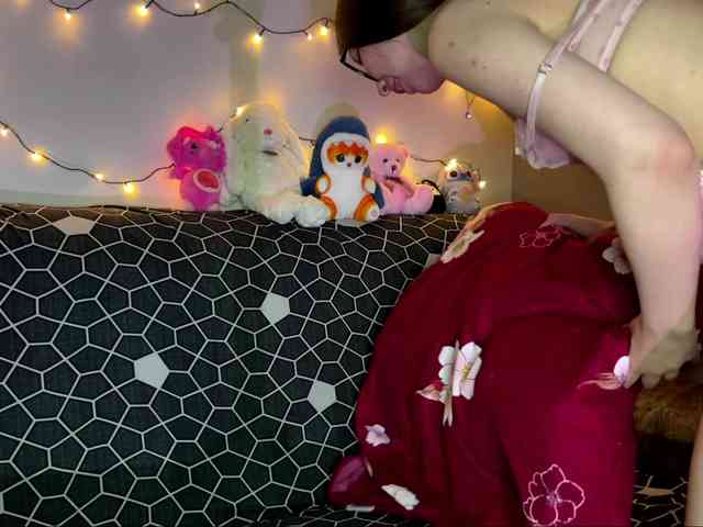 EchoFawn webcam