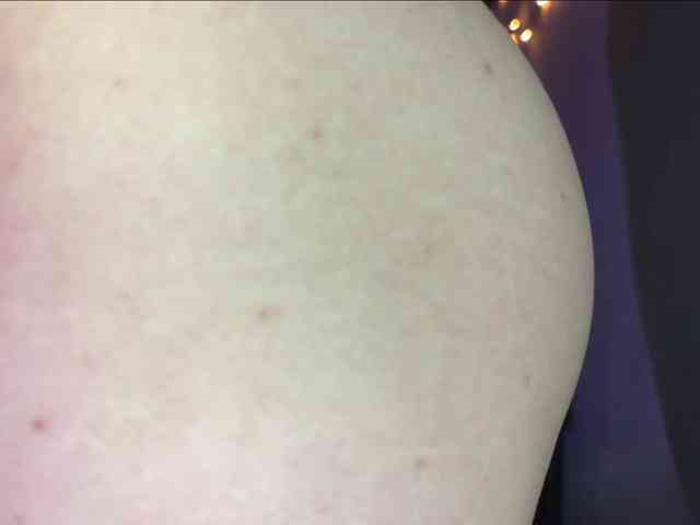 EchoFawn webcam