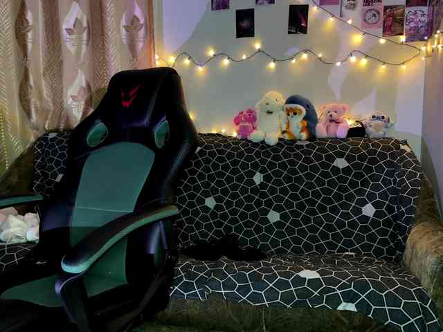 EchoFawn webcam