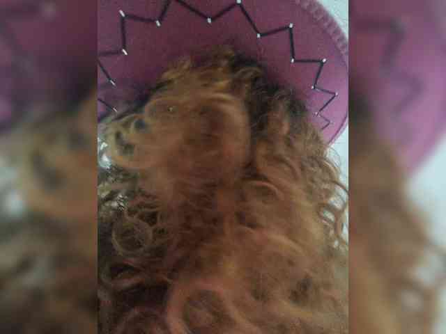 LuanaPowerful webcam