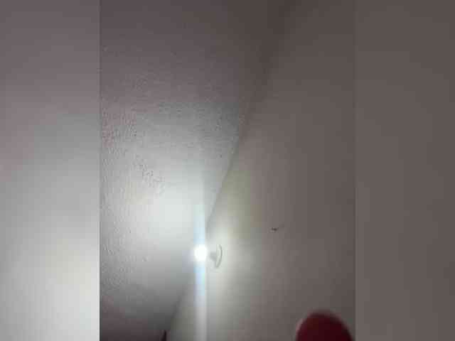 LuanaPowerful webcam