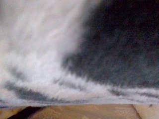 cutelizah's Live Webcam