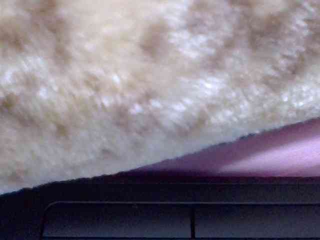 cutelizah webcam