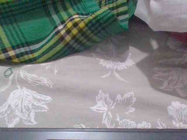 cutelizah