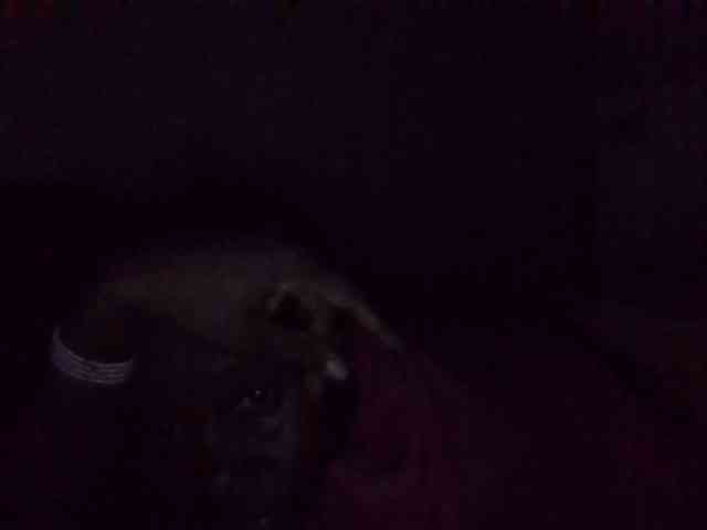 cutelizah webcam