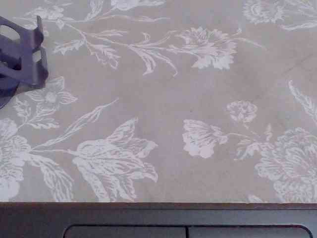cutelizah webcam