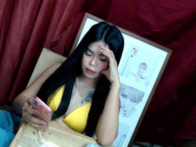 Pixielace webcam