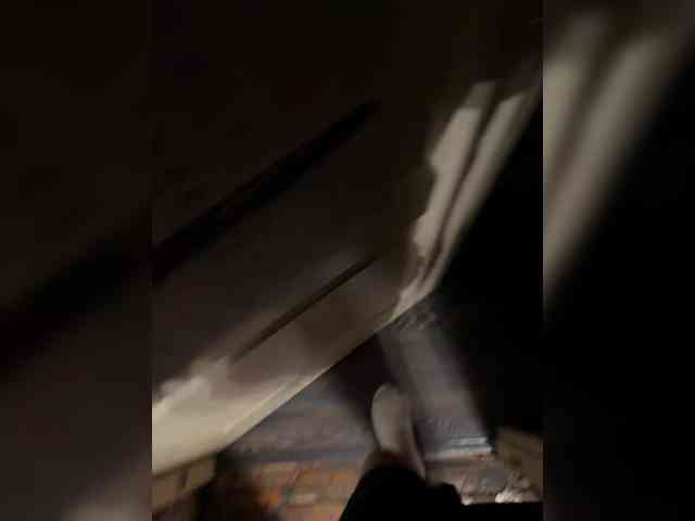 TonyRay95