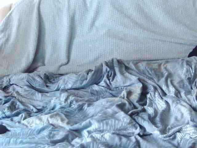 KsyWildFox webcam