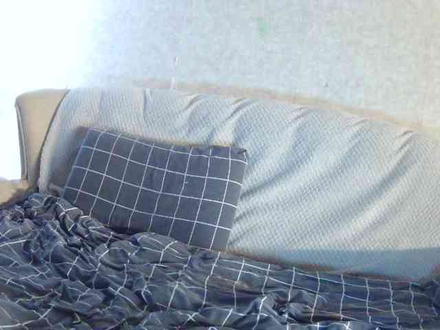 KsyWildFox webcam
