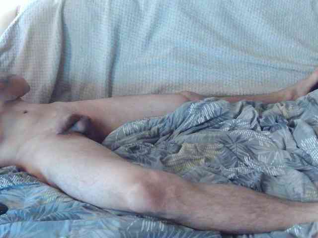 KsyWildFox webcam