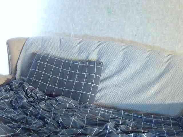 KsyWildFox webcam