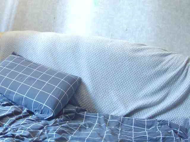 KsyWildFox webcam