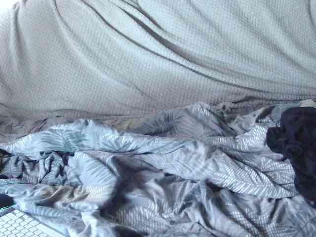 KsyWildFox webcam