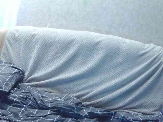 KsyWildFox webcam