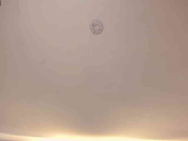 AmyRosse1 webcam