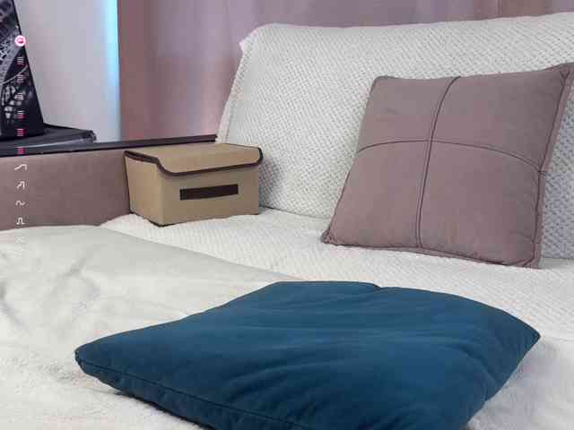 CozyCare webcam