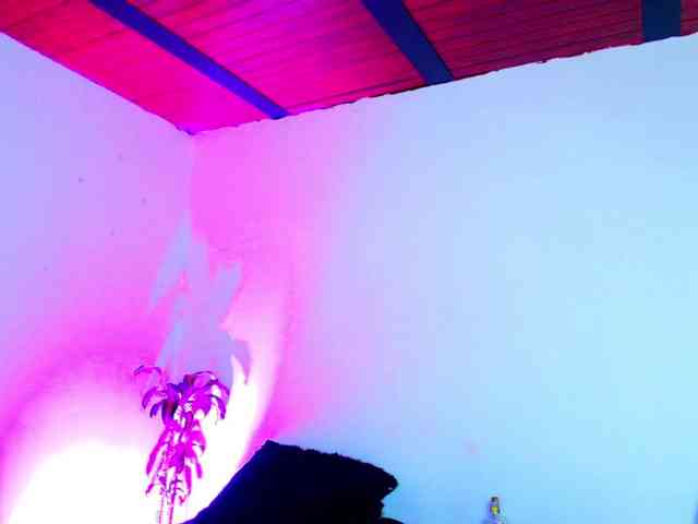 saturno777