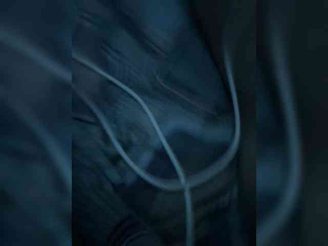 Maksawa webcam
