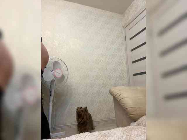 Lars77777