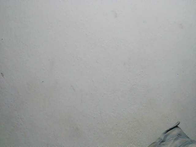 Zinah1 live cam on BongaCams