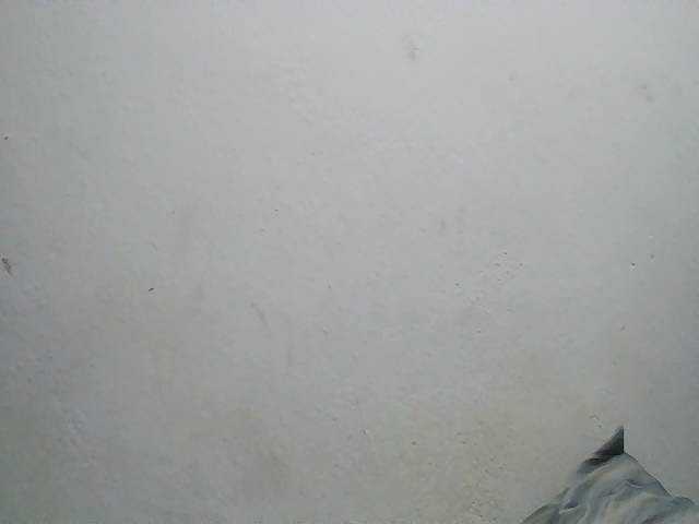 Zinah1 live cam on BongaCams
