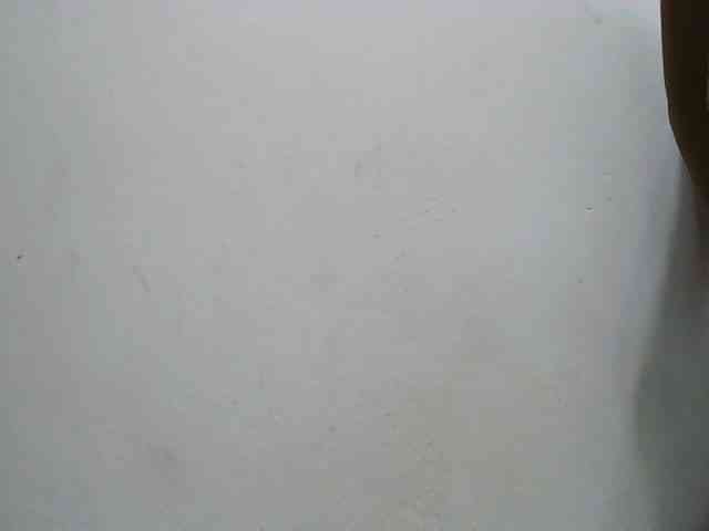 Zinah1 webcam