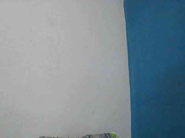 Zinah1 webcam
