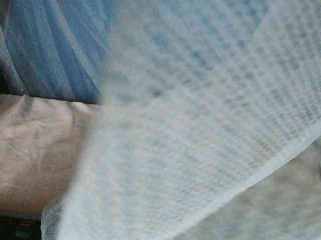 Zinah1 webcam