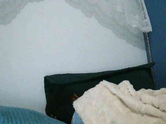 Zinah1 webcam