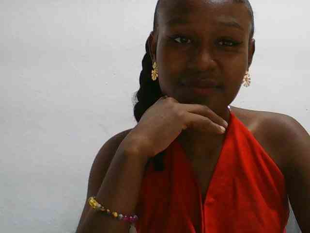 Model: Zinah1