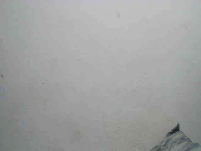 Zinah1 webcam